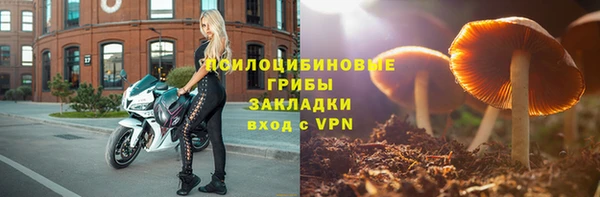 ПСИЛОЦИБИНОВЫЕ ГРИБЫ Алексин