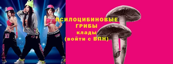 ПСИЛОЦИБИНОВЫЕ ГРИБЫ Алексин