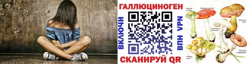 OMG онион где купить Циолковский Псилоцибиновые грибы прущие грибы